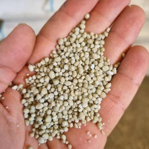 دی آمونیوم فسفات H2PO4(NH3)